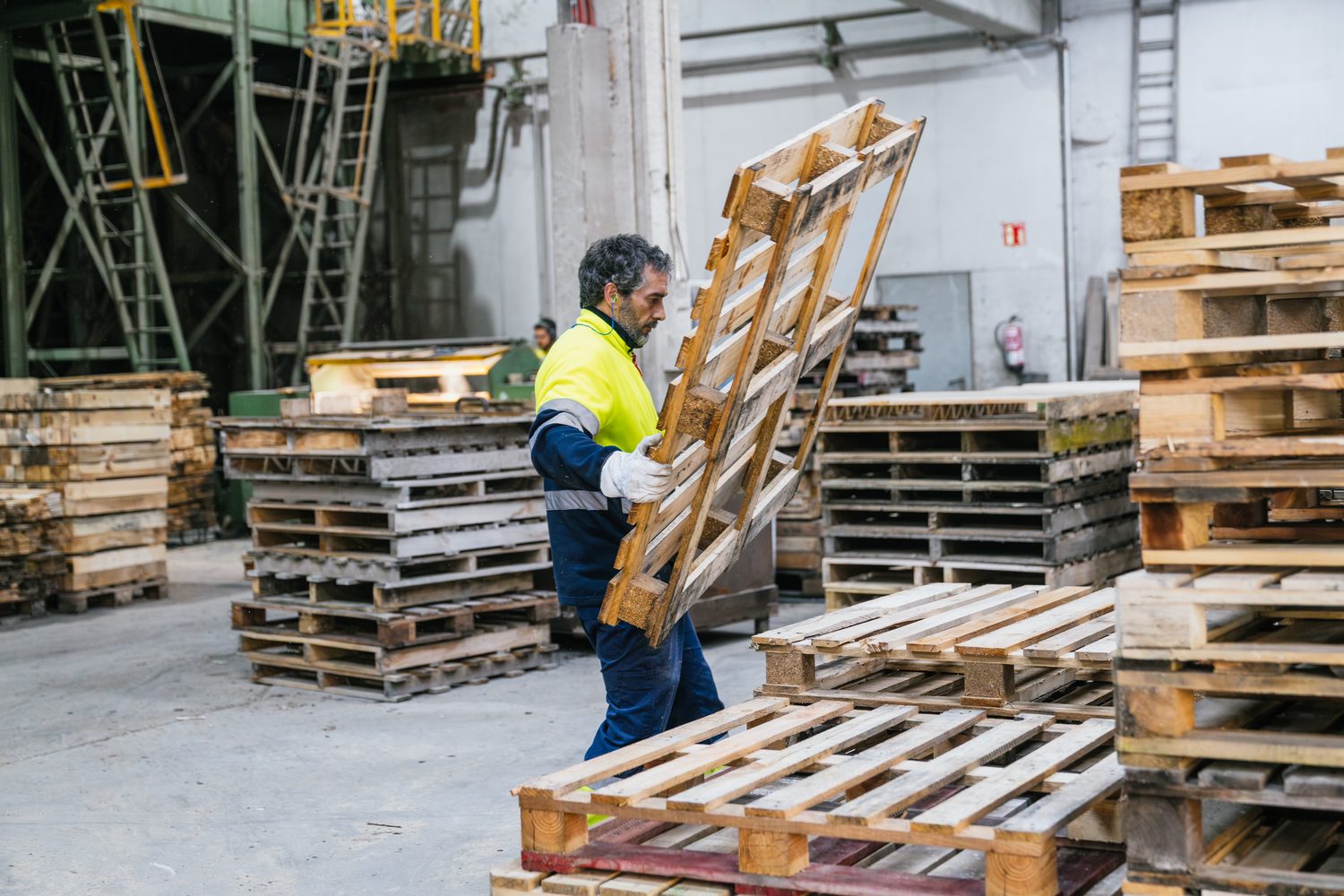 Pallets sourced and staged for supply across a warehouse
